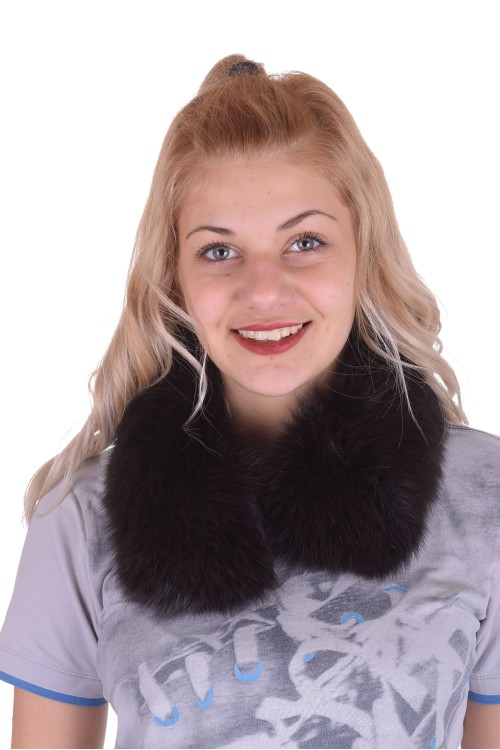 Guler frumoasă de vulpe 48.00